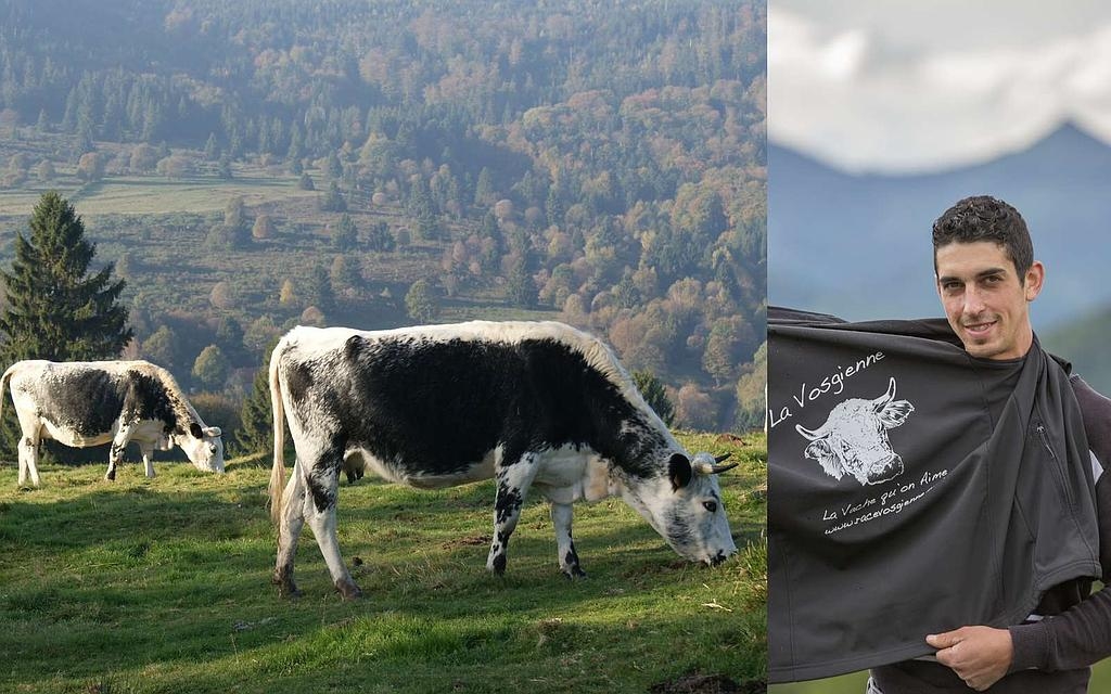 Rendez-vous à la ferme des Fougères