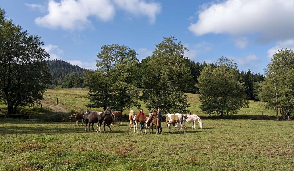 Rendez-vous à la ferme du Nouveau Chemin