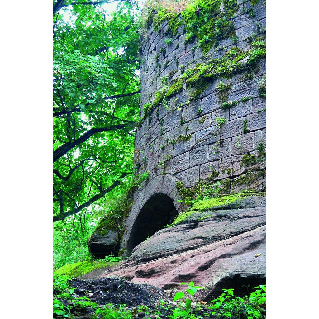 Sentiers Plaisir : Salm, un château vivant