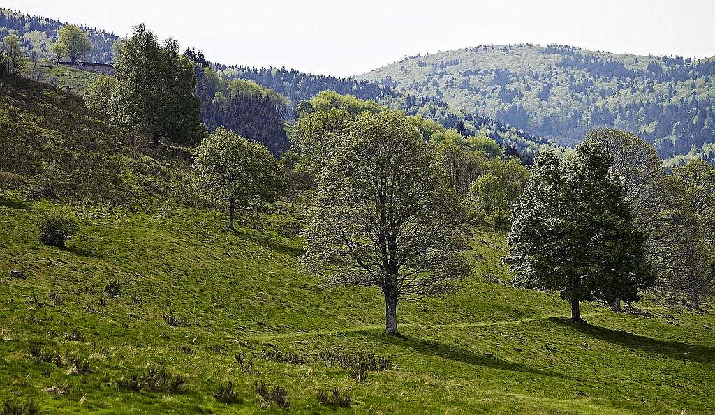 Sentiers plaisir : Autour du Chenot