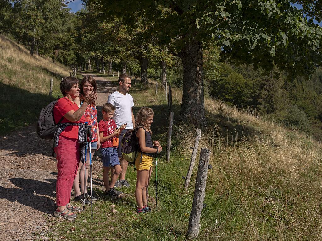 Sentiers Plaisir : Promenade sur les hauteurs de Belmont