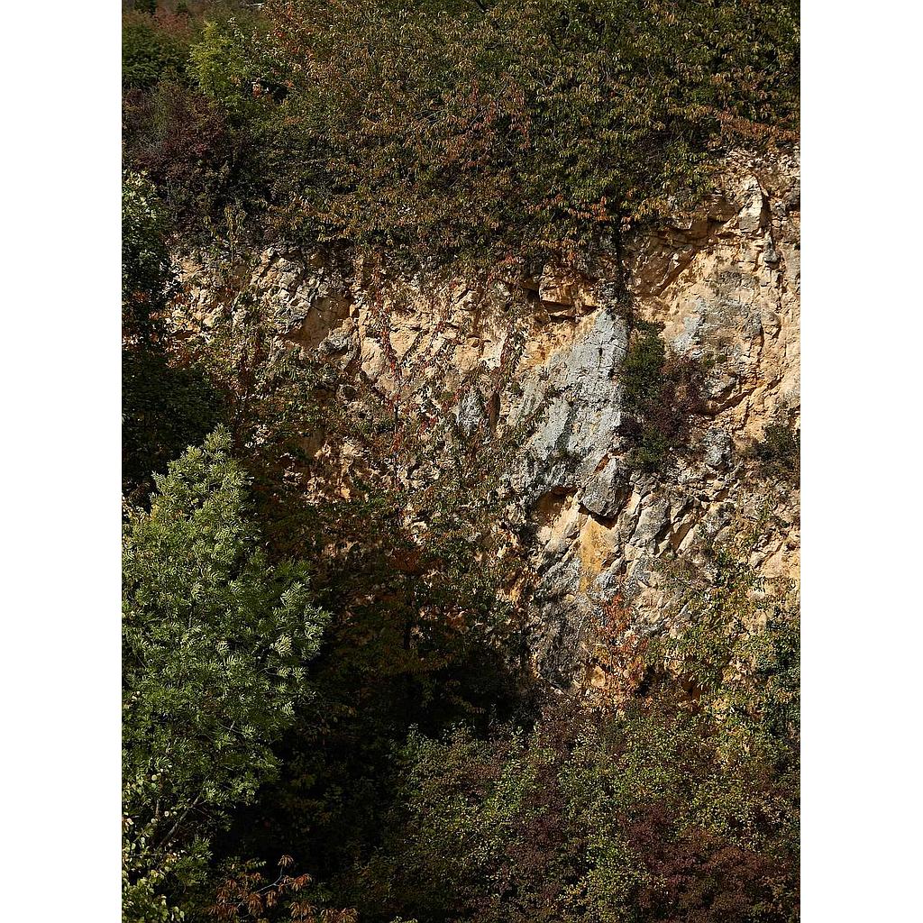 Sentiers Plaisir : La mer des roches