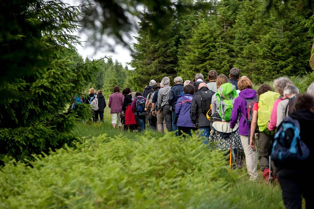 Sentiers Plaisir : La plume et le crayon sur le Sentier des Passeurs