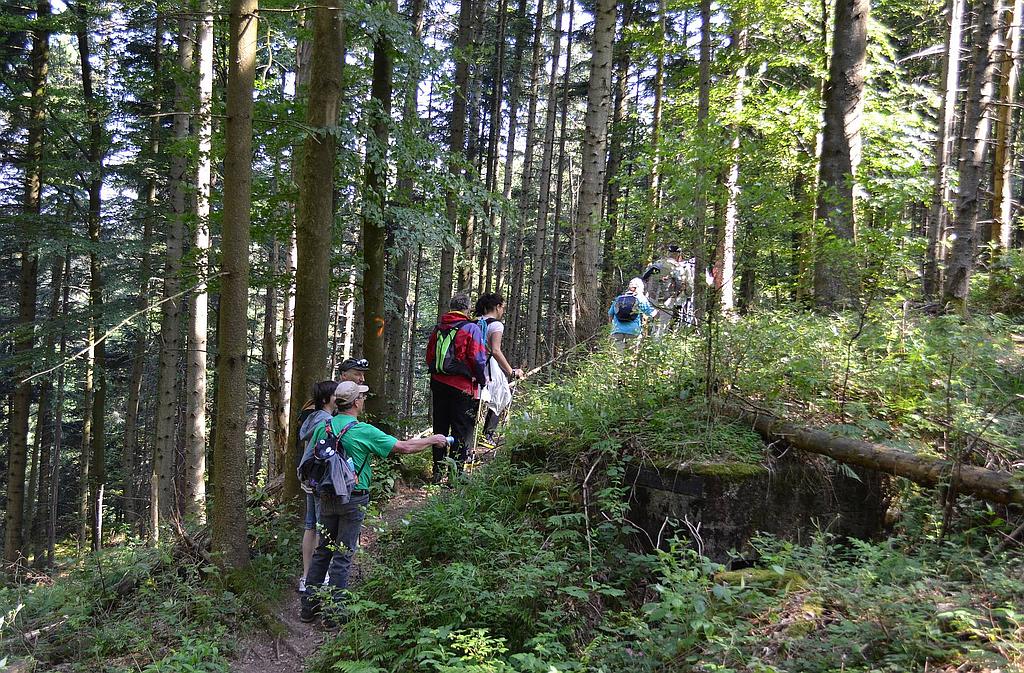Sentiers Plaisir : Casemates du Donon nord