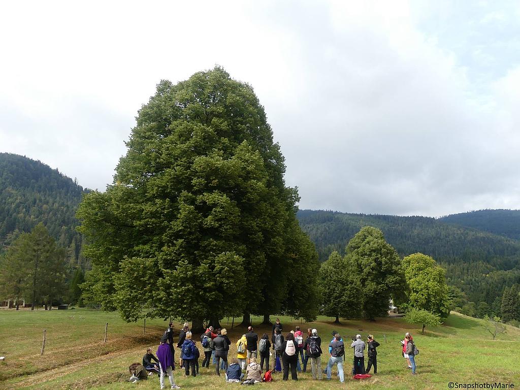 Sentiers Plaisir : Objectif lune !