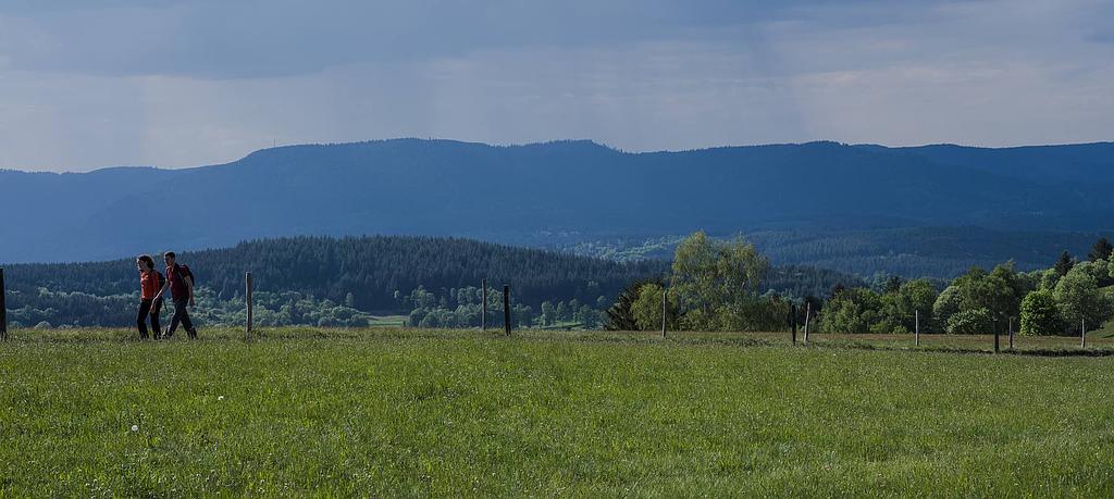 Sentiers Plaisir : Le Champ du Feu, un joyau de la nature