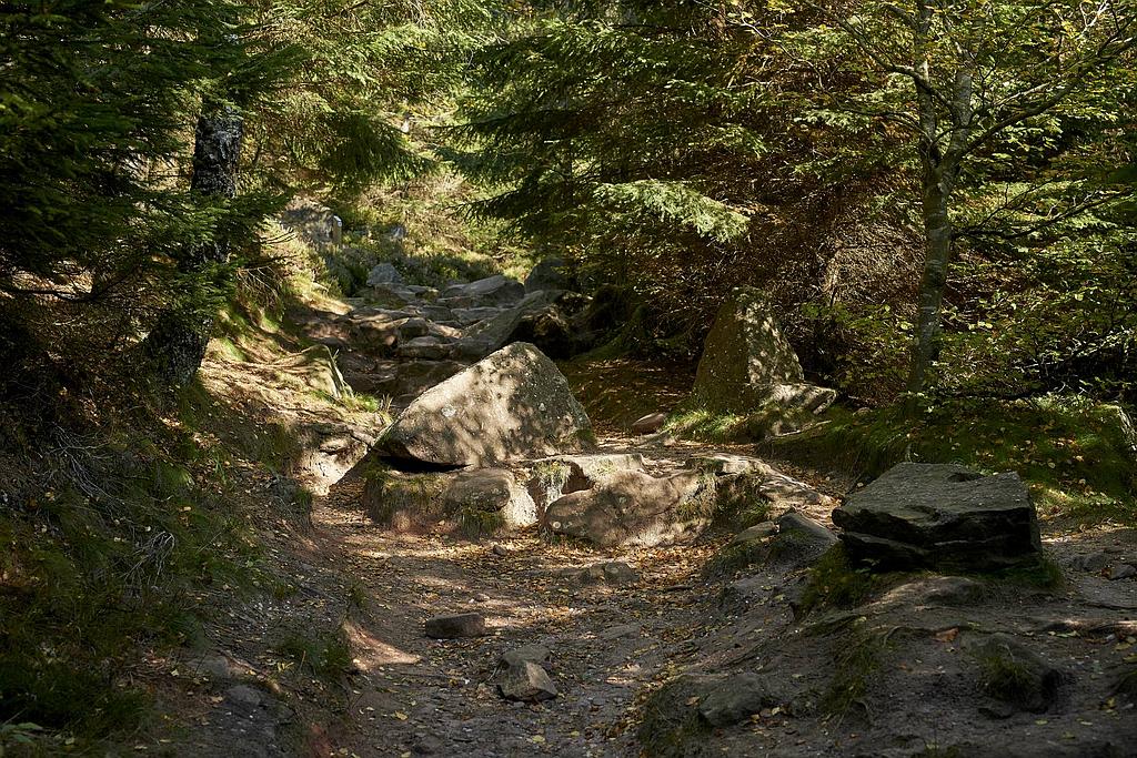 Sentiers Plaisir : Randonnée vers la voie romaine et la chaume de Réquival