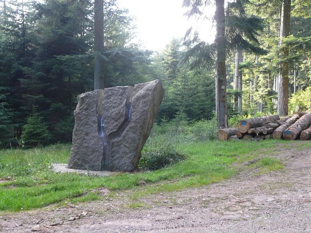 Sentiers Plaisir : Sentiers des géants In situ 2