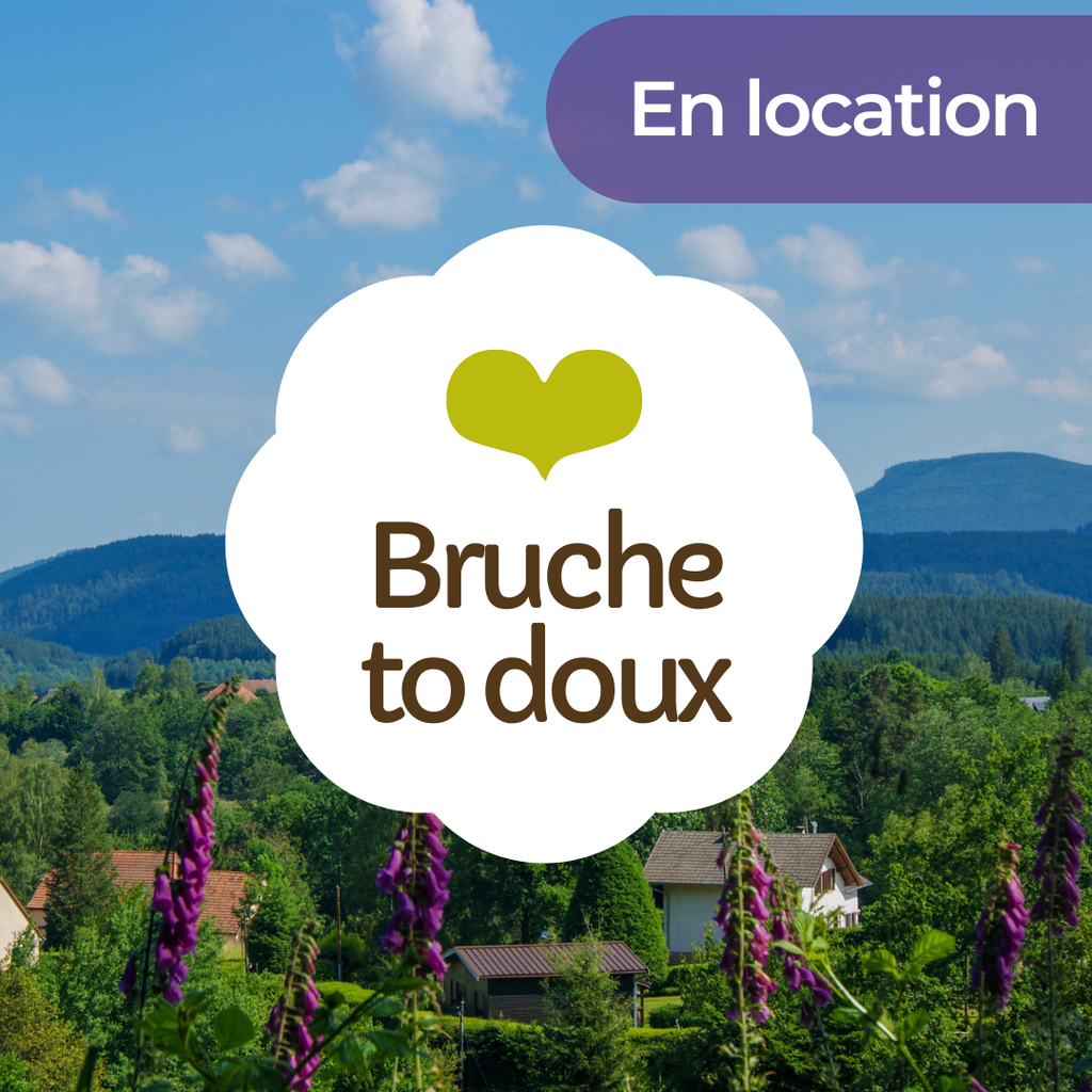 Séjour sans voiture - En location